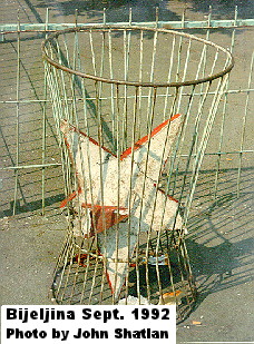 bijelin.jpg (53908 bytes)