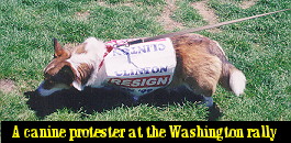 dc5-01-8.jpg (26174 bytes)