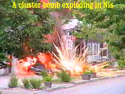 nis5-12.jpg (30434 bytes)