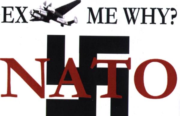 s8.jpg (24051 bytes)