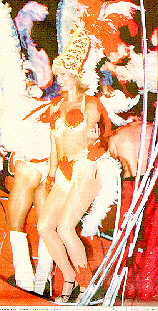 nz-gay.jpg (41878 bytes)